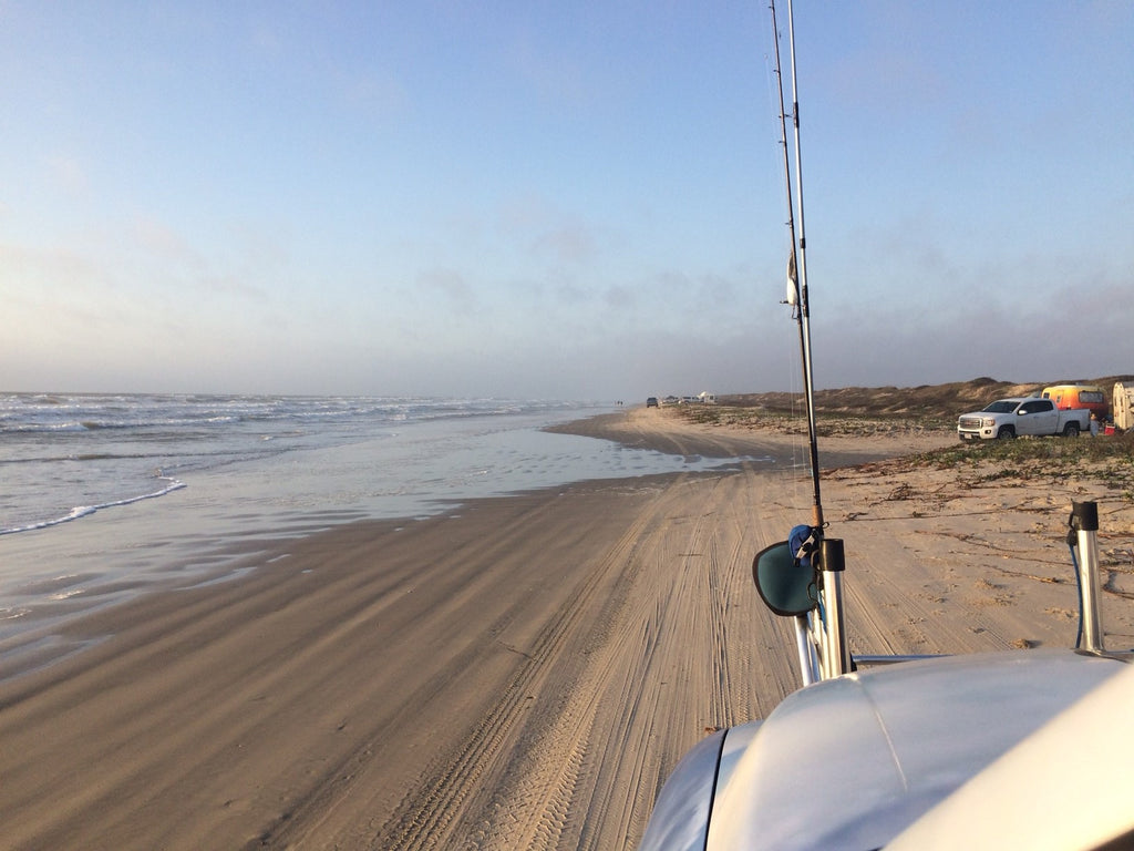 Friends of Padre Beach Report 3/13/2016