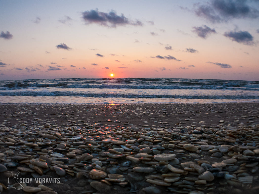 Friends of Padre Beach Report 9/17/2017